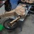 Excitebike a motocicleta em pixels